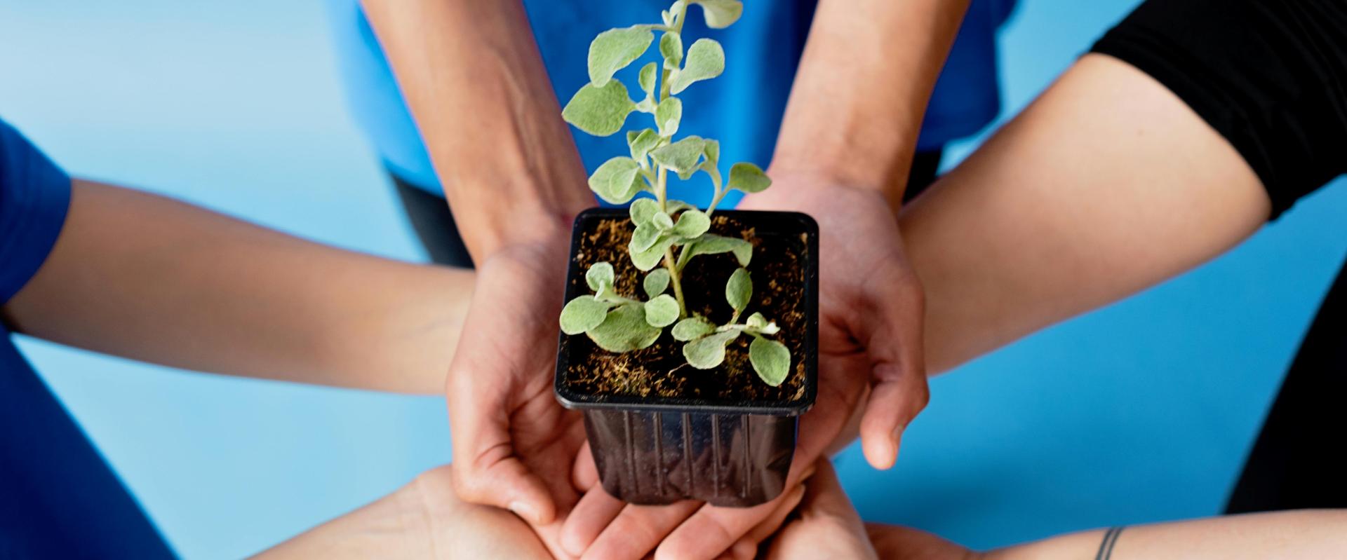 a group of people stood in a circle with their hands out holding up a plant